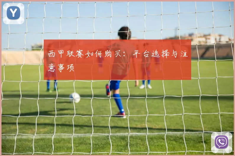 西甲联赛如何购买:平台选择与注意事项