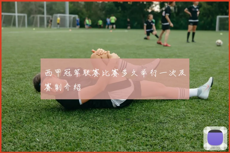 西甲冠军联赛比赛多久举行一次及赛制介绍