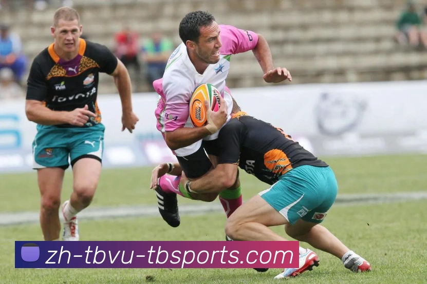 天博体育平台生态图